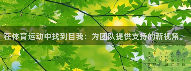 JJB竞技宝官方正版app娱乐网站：在体育运动中找到