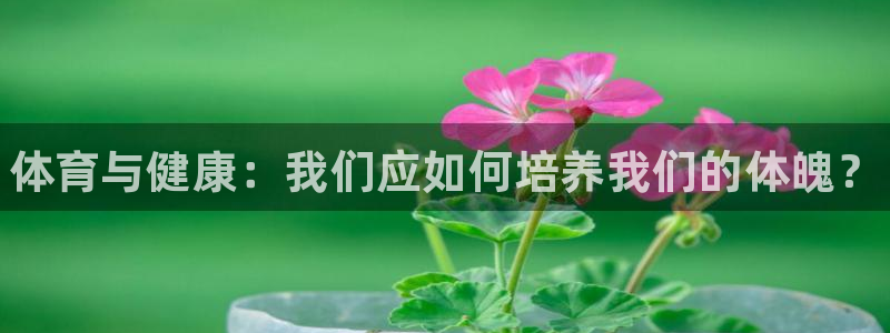 JJB竞技宝官网下载娱乐：体育与健康：我们应如何培养