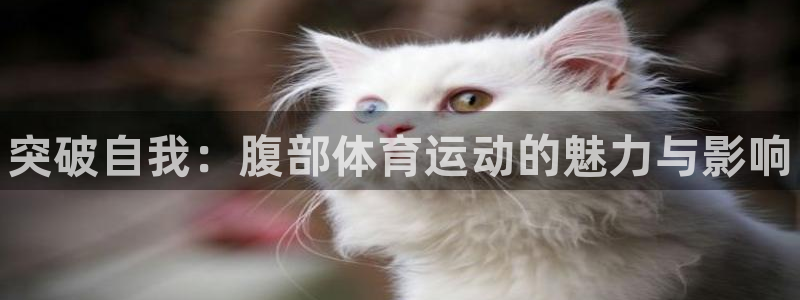 JJB竞技宝官方正版app娱乐是那个系列的台子：突破