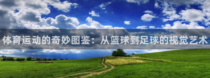 JJB竞技宝官网下载软件：体育运动的奇妙图鉴：从篮球