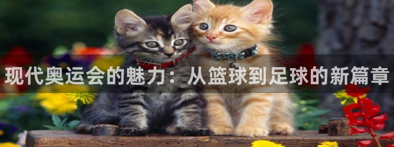 JJB竞技宝官方正版app娱乐网站：现代奥运会的魅力