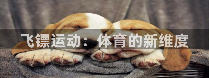 海南JJB竞技宝官网下载发展怎么样：飞镖运动：体育的