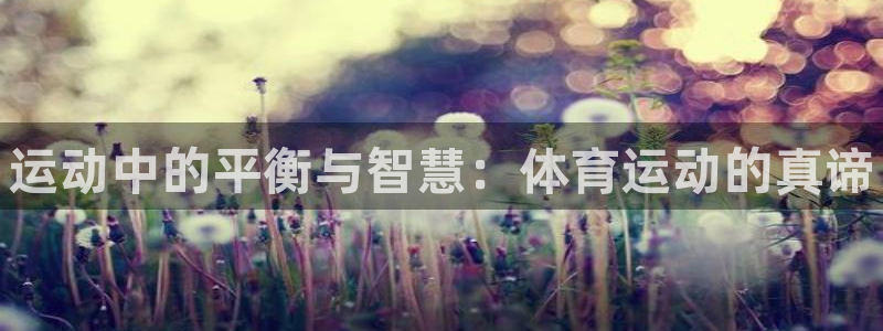 JJB竞技宝官方正版app娱乐首页网站大全：运动中的平衡与智