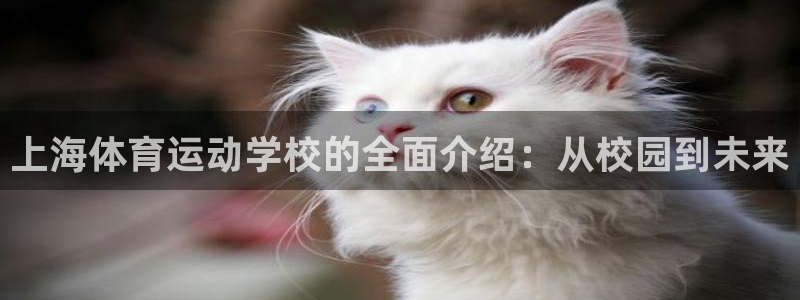 竞技宝不能用了：上海体育运动学校的全