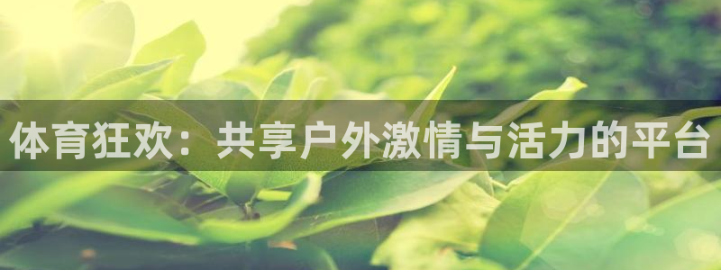 竞技宝下载地址在哪：体育狂欢：共享户外激情与活力的平台