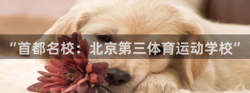 竞技宝怎么下载安装：“首都名校：北京