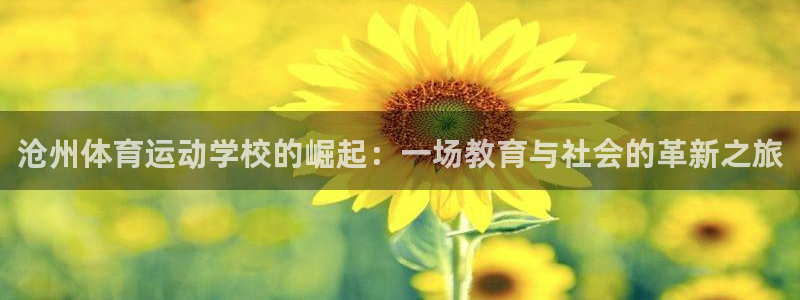  竞技宝官网网页版：沧州体育运动学校的崛起：一场教育与社会的革