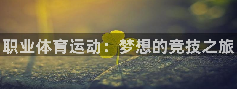 竞技宝在线下载：职业体育运动：梦想的