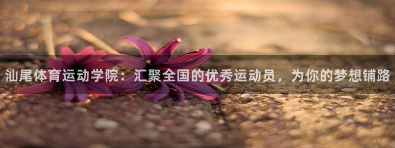  竞技宝在哪下载：汕尾体育运动学院：汇聚全国的优秀运动员，为你