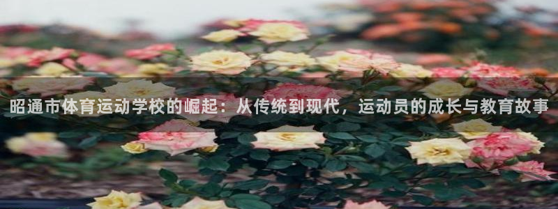  竞技宝app下载苹果手机：昭通市体育运动学校的崛起：从传统到