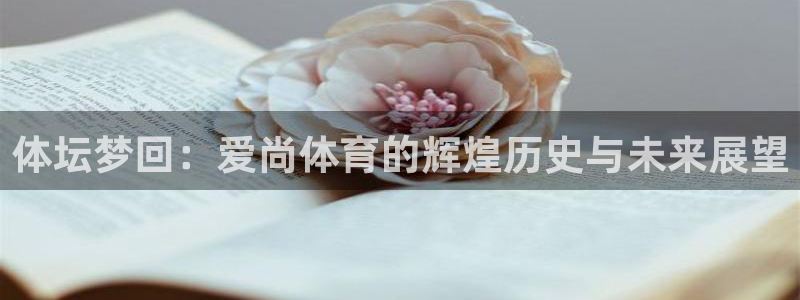 竞技宝客服连不上：体坛梦回：爱尚体育的辉煌历史与未来展望