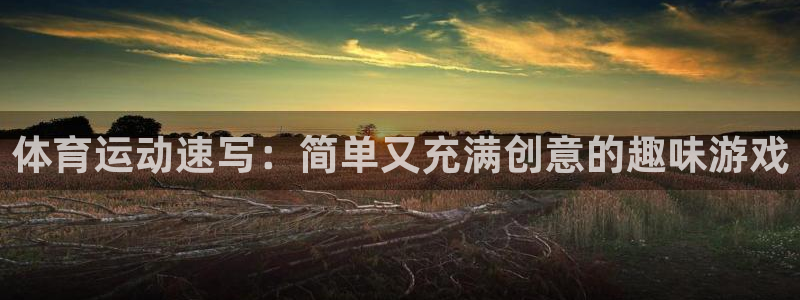 竞技宝下载JJB：体育运动速写：简单又充满创意的趣味游戏