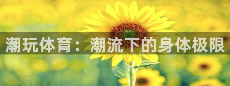 竞技宝进不去：潮玩体育：潮流下的身体极限