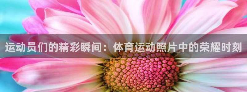  竞技宝网站合法吗：运动员们的精彩瞬间：体育运动照片中的荣耀时