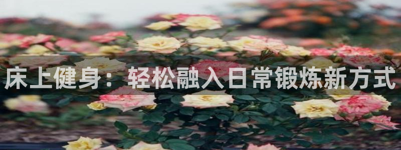  竞技宝能提现吗是真的吗：床上健身：轻松融入日常锻炼新方式