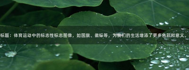  竞技宝官网下载：标题：体育运动中的标志性标志图像，如国旗、徽
