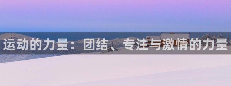竞技宝官：运动的力量：团结、专注与激